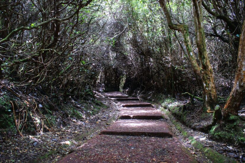 Parque Nacional Volcán Irazú